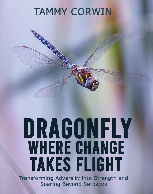 Dragonfly Where Change Takes Flight